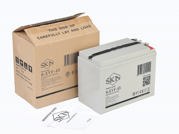 Тяговый аккумулятор SKN 6-EVF-45 (12V47.5A/H C5)