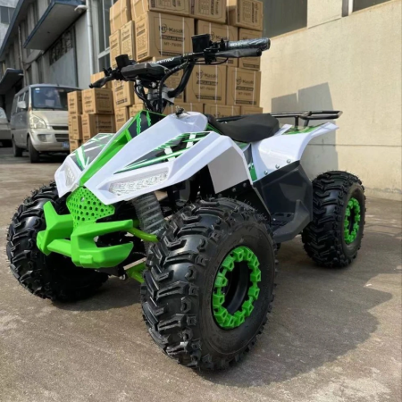 Электроквадроцикл ECO Lizard 48V30AH