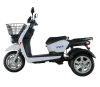 Трехколесный электроскутер Рорикс ET-R 120