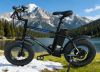Электровелосипед Griffin J2 48V16Ah
