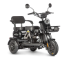 Электротрицикл Wanshida UN MOTO 60V 650Вт черный