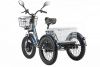 Трицикл GM Porter Fat UP 700!
