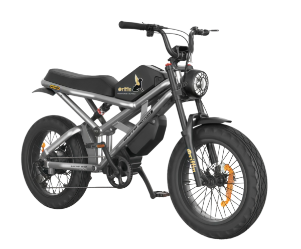 Электровелосипед Griffin R1 48V35Ah