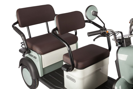 Электротрицикл Rutrike Gelbert Beta 48V/60V 800Вт зелено-белый
